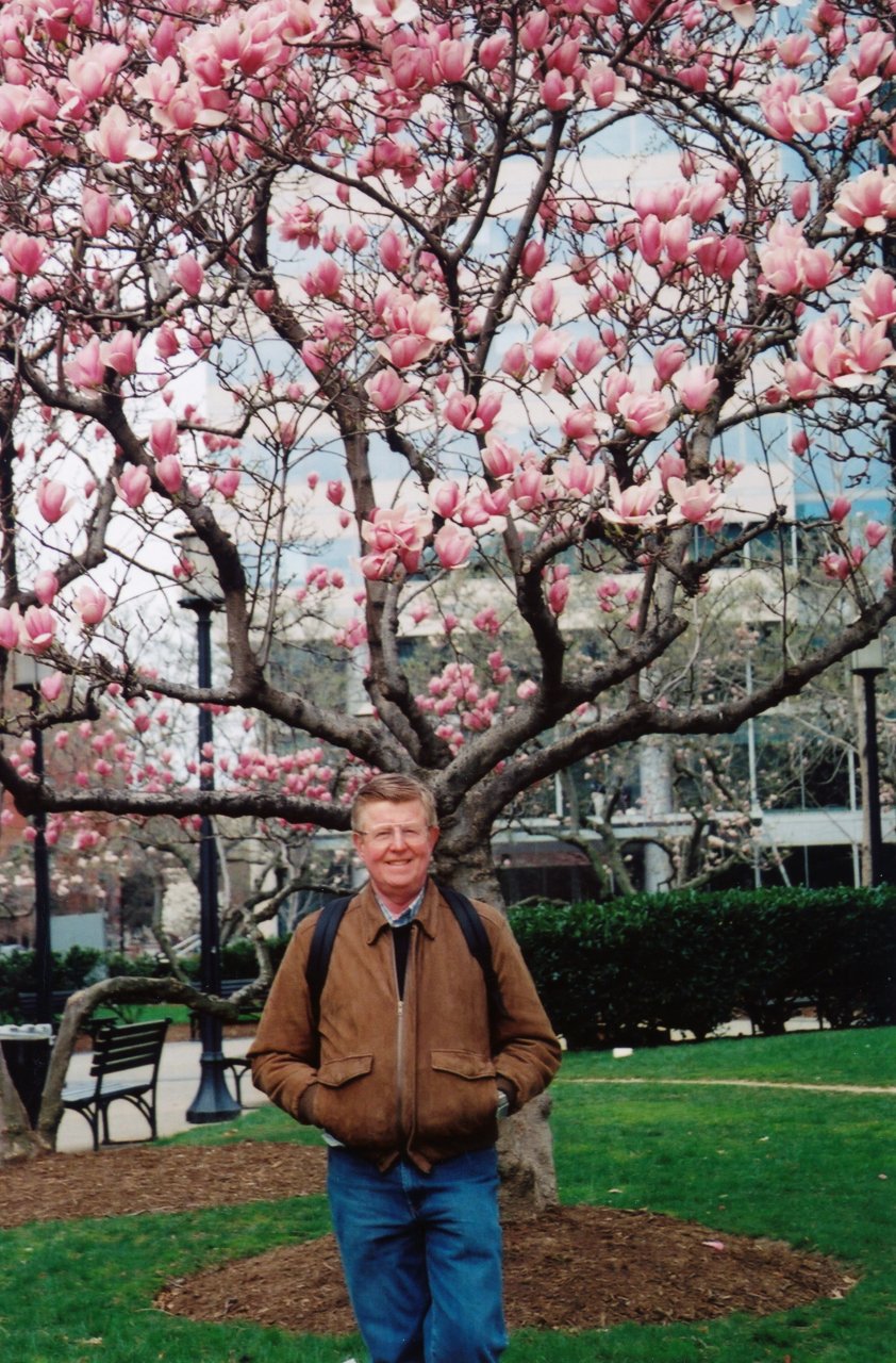 2nd A and M DC walkabout Tulip tree